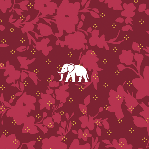 Raga - The Embroidered Collection